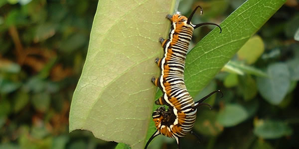 在线永久免费轰炸云呼